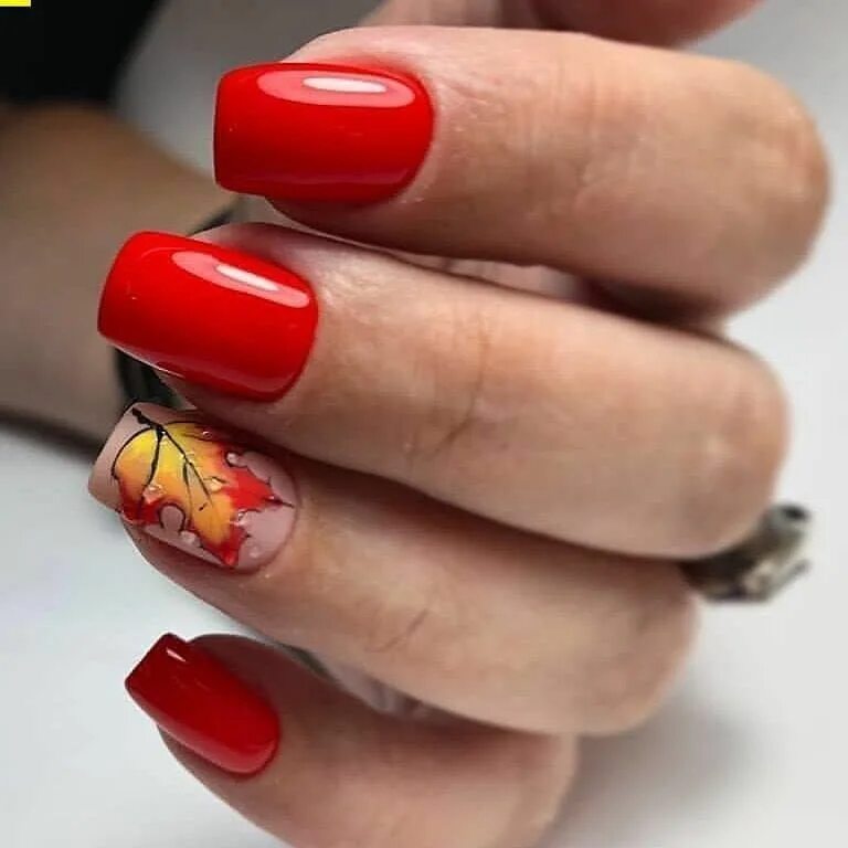 Красный осенний маникюр осень 2024 Pin by balan codruta on Nails Manicure nail designs, Nails, Nail manicure