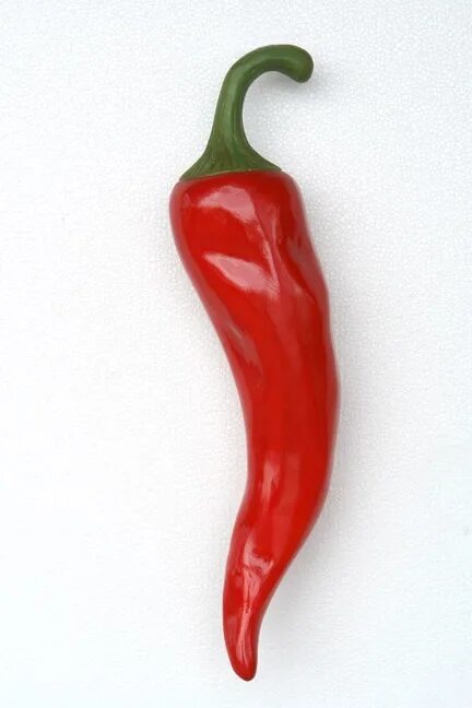 Красный перец фото Still Life Drawing Reference: Red Hot Pepper