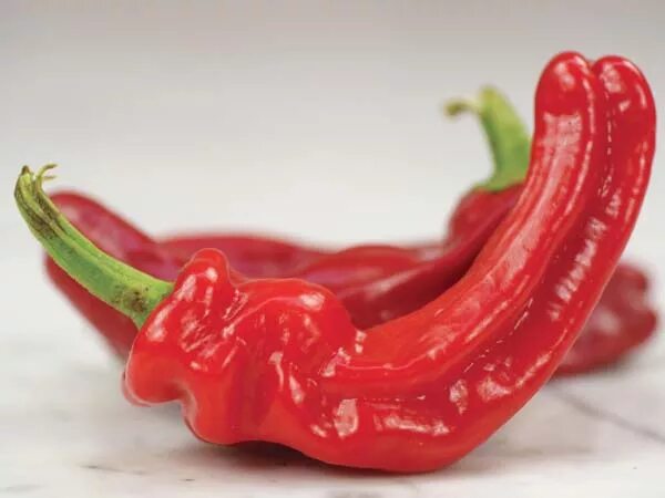 Красный перец фото Купить семена Перец сладкий Sweet pepper Figitelli Sicilia в Москве: доставка се