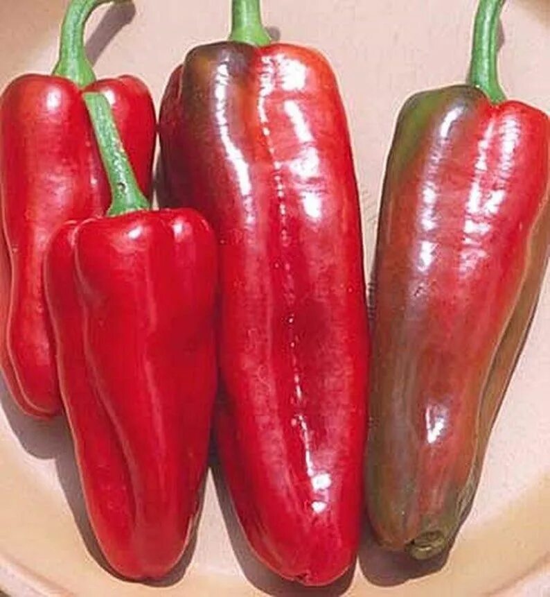 Красный перец сорта фото Marconi Red Pepper Seed - Etsy Stuffed peppers, Stuffed sweet peppers, Pepper se