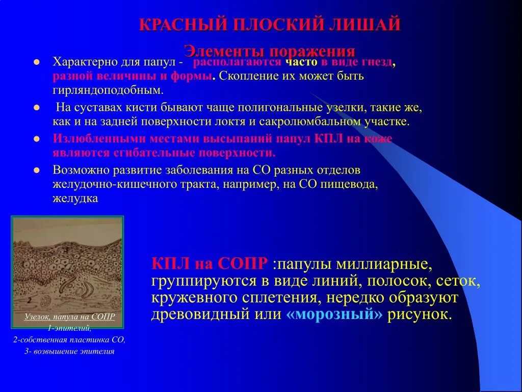 Красный плоский лишай в полости рта фото PPT - Изменения слизистой оболочки полости рта при дерматозах с аутоиммунным ком