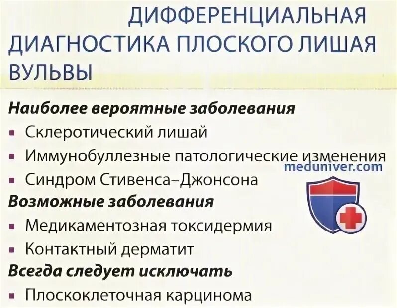 Красный плоский лишай вульвы фото Плоский лишай вульвы - причины, диагностика и лечение