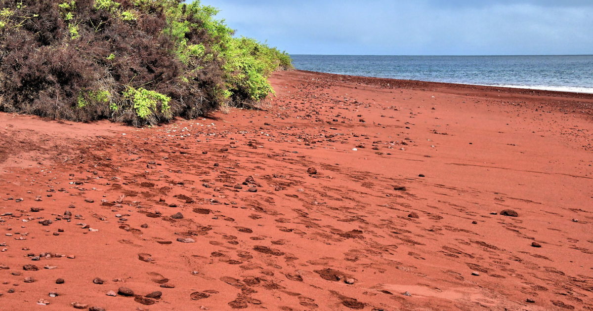 Красный пляж фото Red Beach on Rábida Island in Galápagos, EC - Encircle Photos