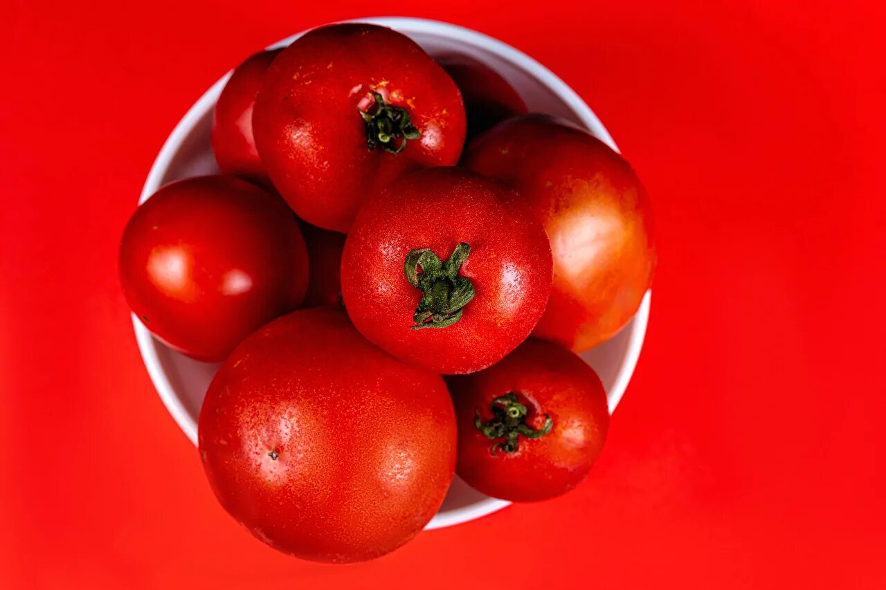 Красный помидор фото Обои для рабочего стола Томаты Продукты питания красном фоне Крупным