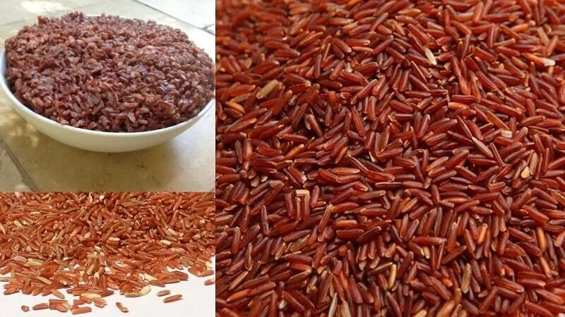 Красный рис фото These Are The Popular Rice Varieties Of India That You Probably Not Aware