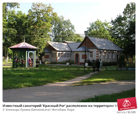 Красный рог брянская область санаторий фото Известный санаторий 'Красный Рог' расположен на территории Музея-усадьбы А.К. То