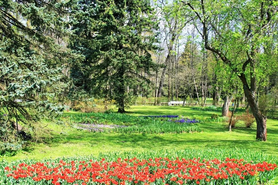 Красный сад фото Canvas Print Red Garden Grass Estate Green Flowers Trees Stretched Canvas 10 x 1