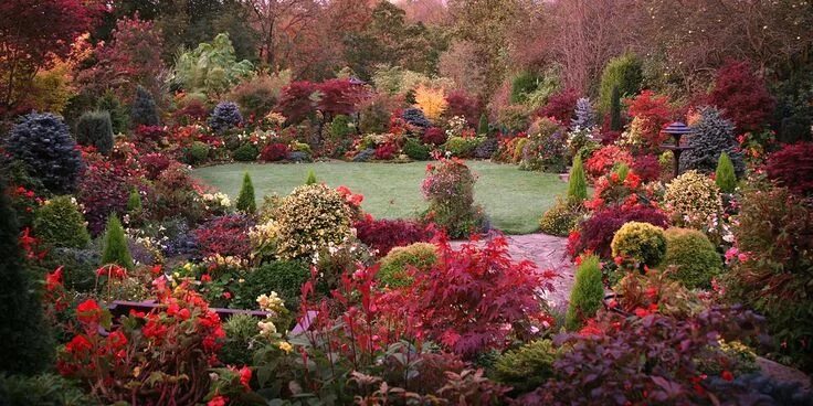 Красный сад фото Autumn Garden Red October Dawn Autumn Garden Autumn garden, Garden, Autumn