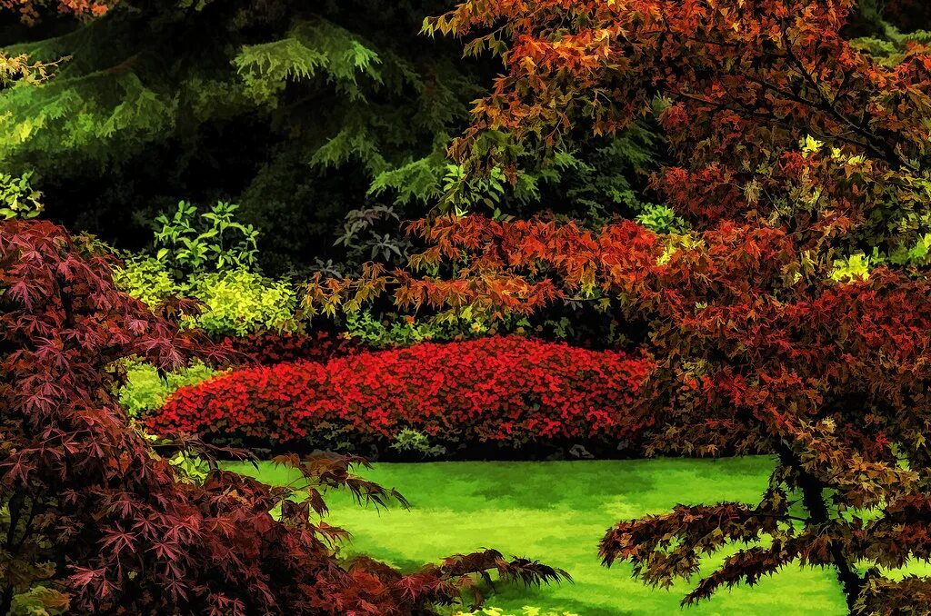 Красный сад фото Garden Reds A wonderful combination of reds in late Septem. Flickr