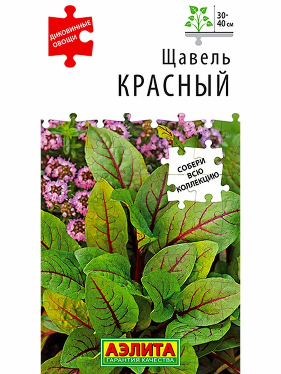 Красный щавель фото Семена Щавель Красный, 0.05г Агрофирма Аэлита 176253439 купить за 99 ₽ в интерне