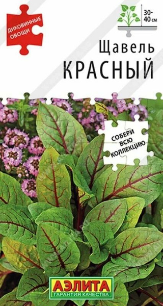 Красный щавель фото Щавель Аэлита Зелень_Щавель Красный - купить по выгодным ценам в интернет-магази