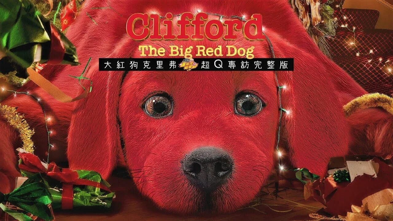 Красный щенок фото 超 Q der(大 紅 狗 克 里 弗)意 外 爆 好 看.專 訪 完 整 版 CLIFFORD The Big Red Dog (爆 米 花 看