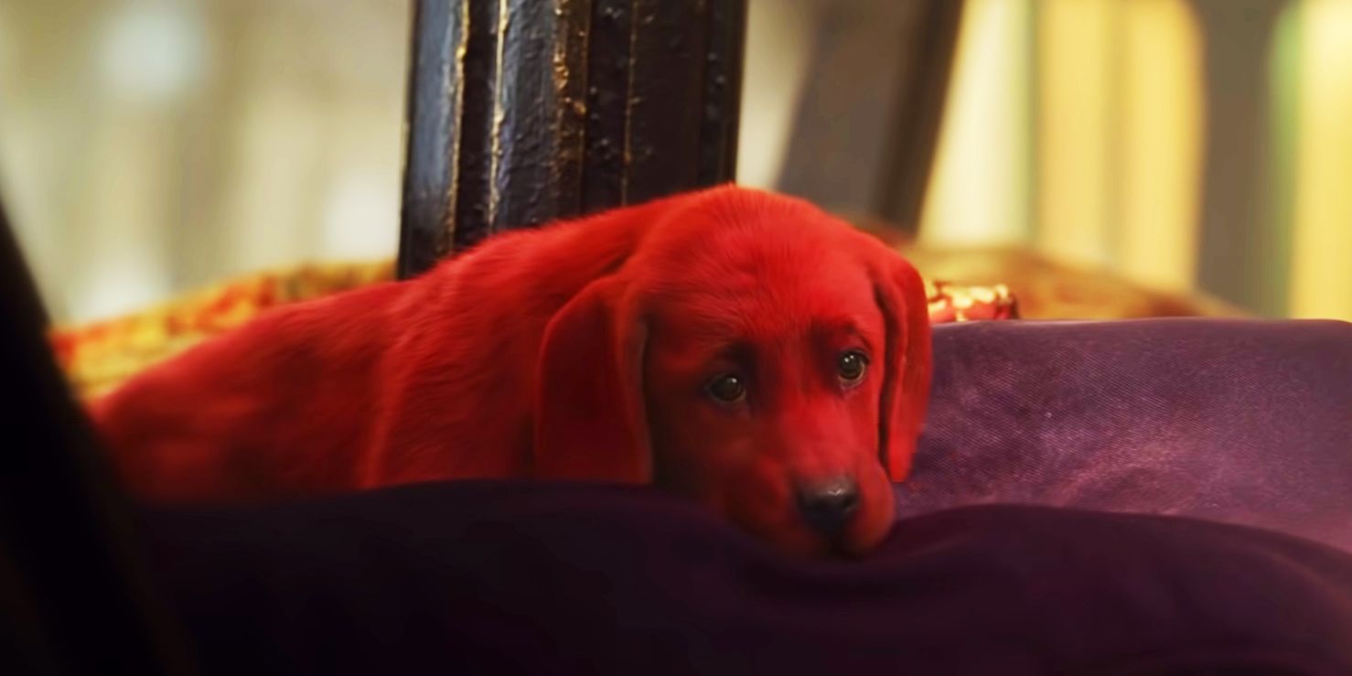 Красный щенок фото Paramount's Clifford The Big Red Dog Pulled From Release Schedule