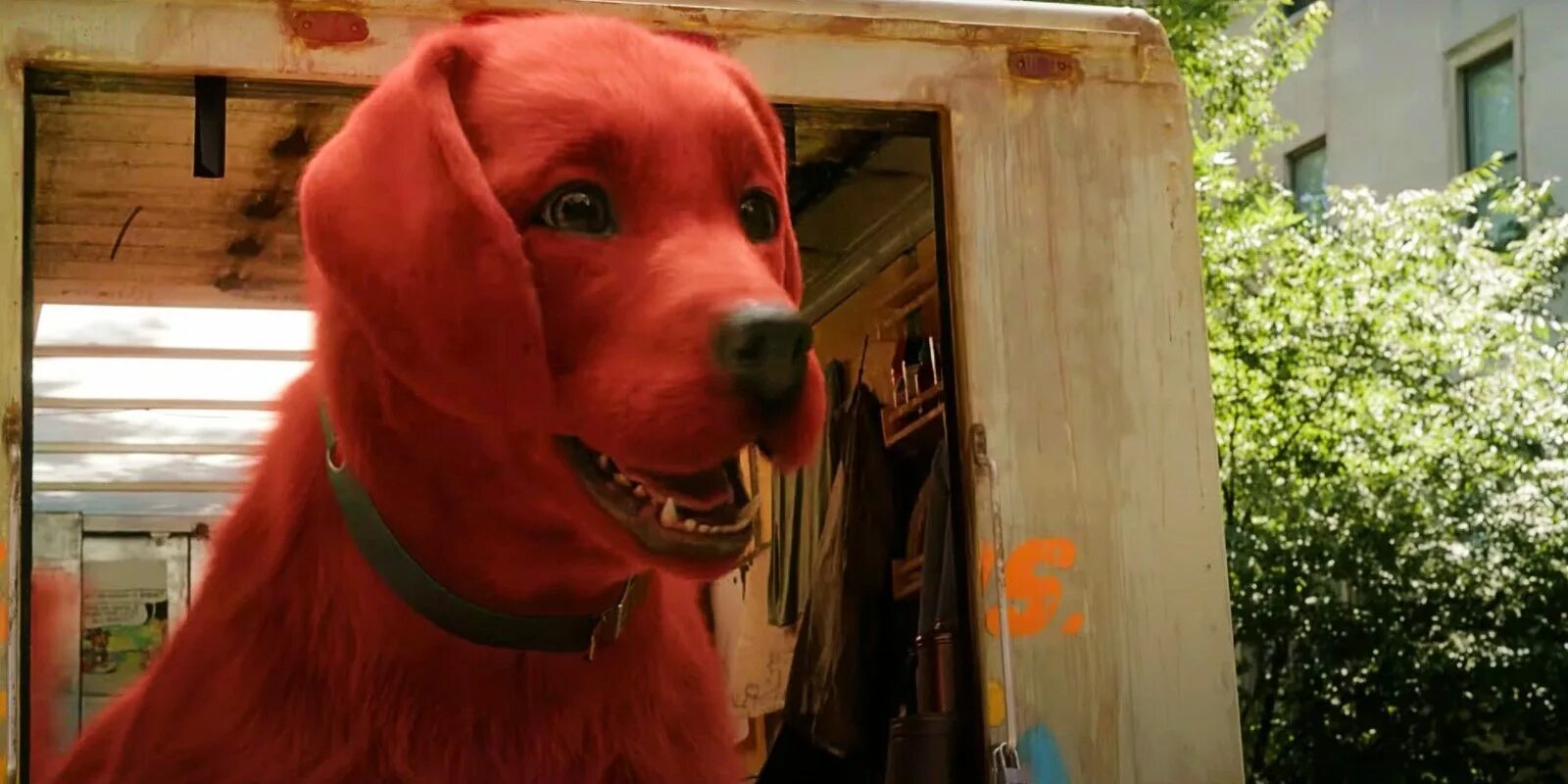 Красный щенок фото Большой красный пёс Клиффорд (2021) - Clifford the Big Red Dog - кадры из фильма