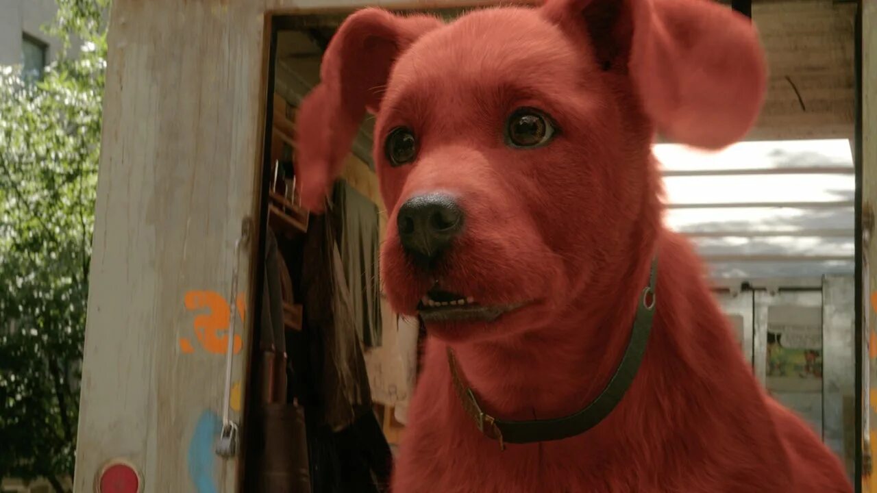Красный щенок фото Большой красный пёс Клиффорд (2021) - Clifford the Big Red Dog - кадры из фильма