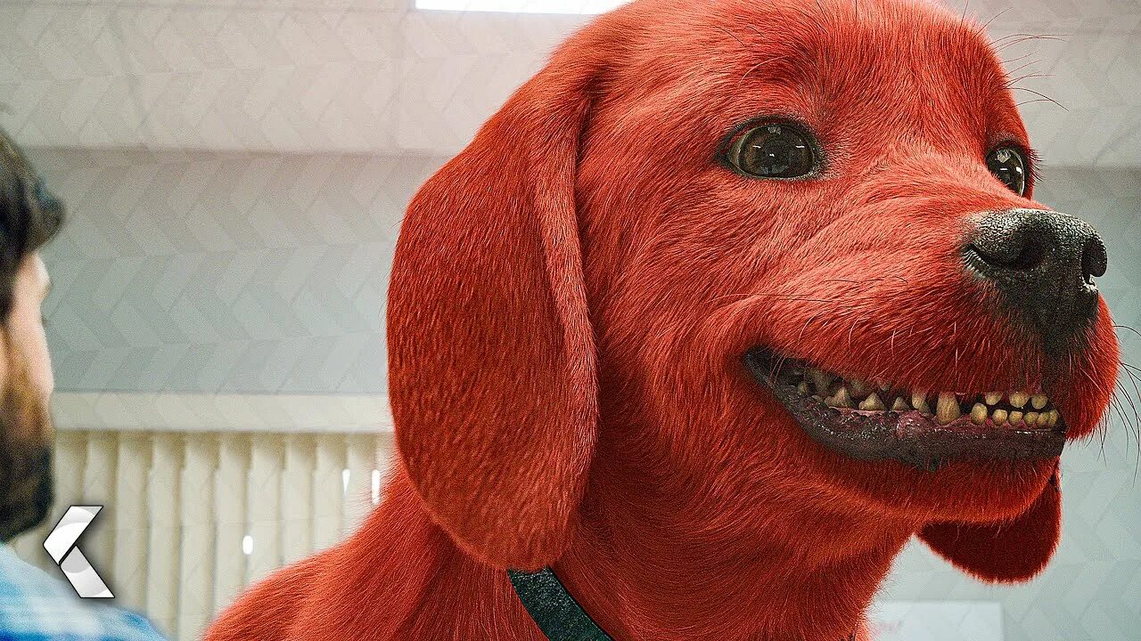 Красный щенок фото CLIFFORD THE BIG RED DOG Movie Clip - Clifford Goes To The Vet! (2021) - YouTube