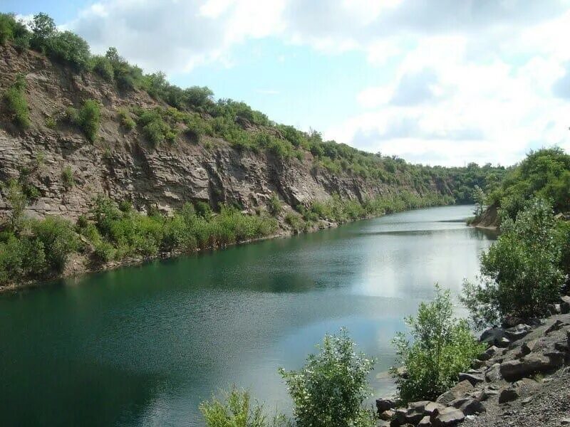 Красный сулин фото солнце летом Мартыновский вестник