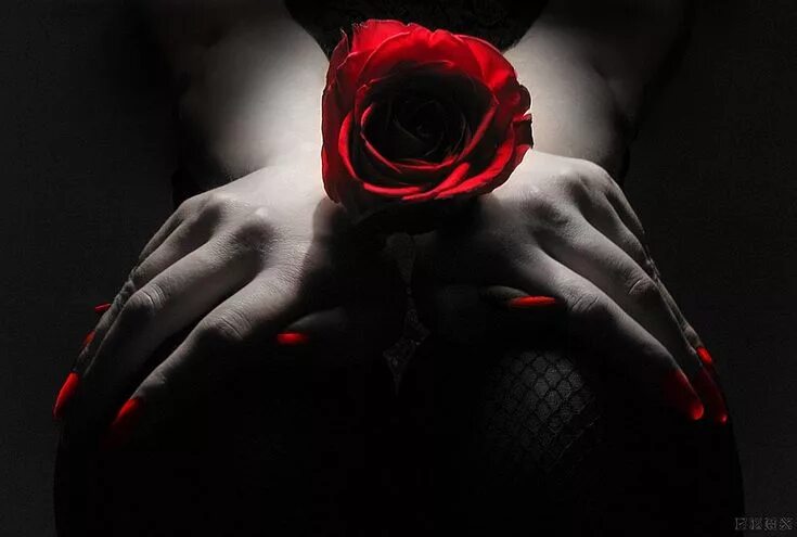 Красный цвет на черно белом фото Pin on Rose thorns Love is sweet, I am awesome, Colour