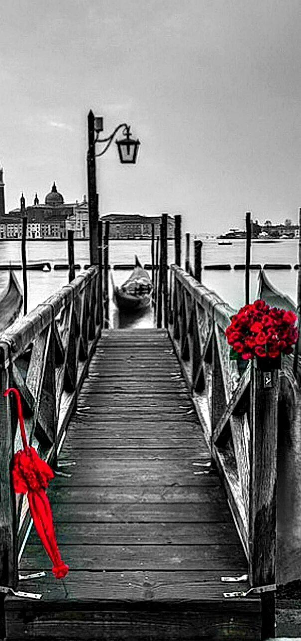 Красный цвет на черно белом фото romantic Venice by Assaf Frank Color splash red, Color splash photography, Color