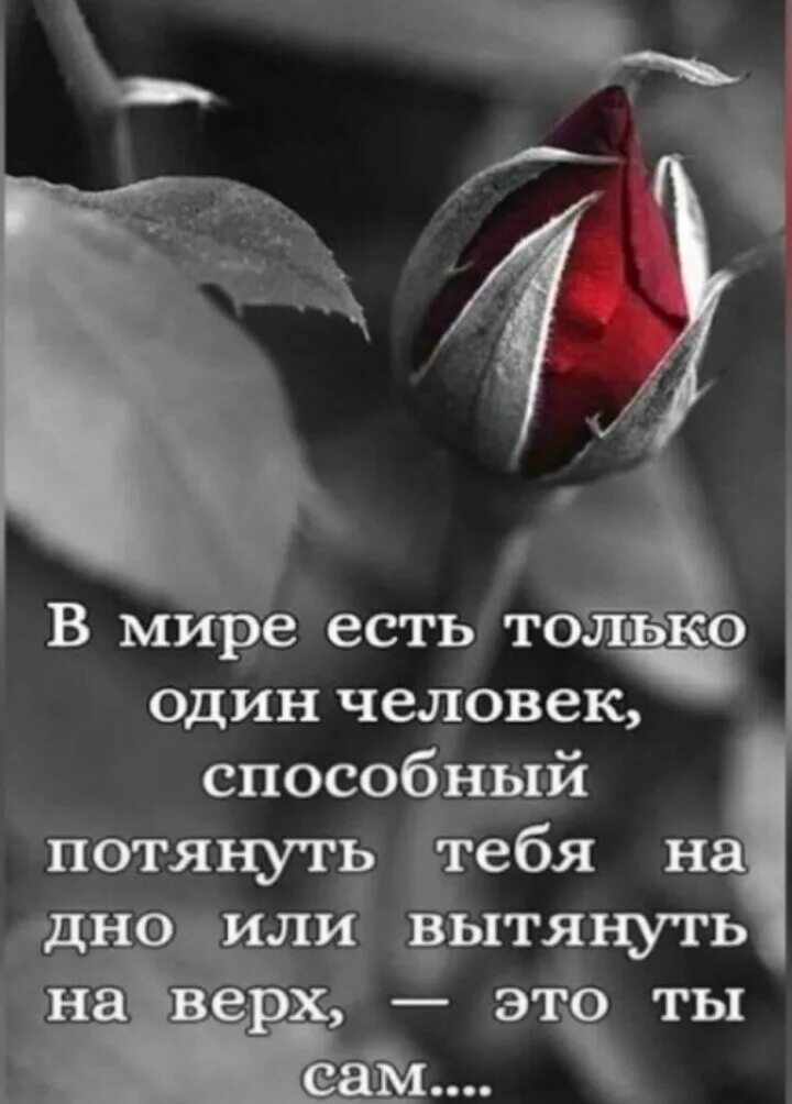 Красный цвет на черно белом фото ТЫ САМ! (Жанна Лазарева-Фатьянова) / Стихи.ру