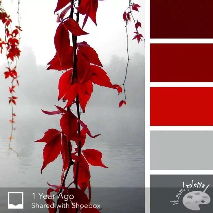 Красный цвет палитра фото Пин от пользователя Color Gone Rogue на доске Color - Palettes Красная цветовая 