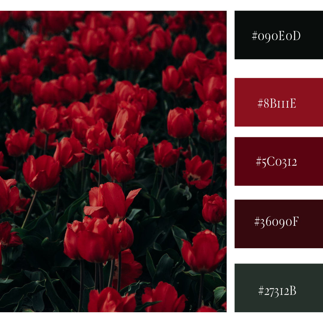 Красный цвет палитра фото Pinterest Dark color palette, Red colour palette, Hex color palette