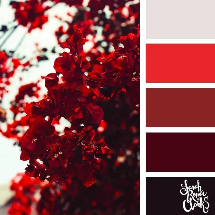 Красный цвет палитра фото Red color palette 25 color palettes inspired by the PANTONE color trend Red colo