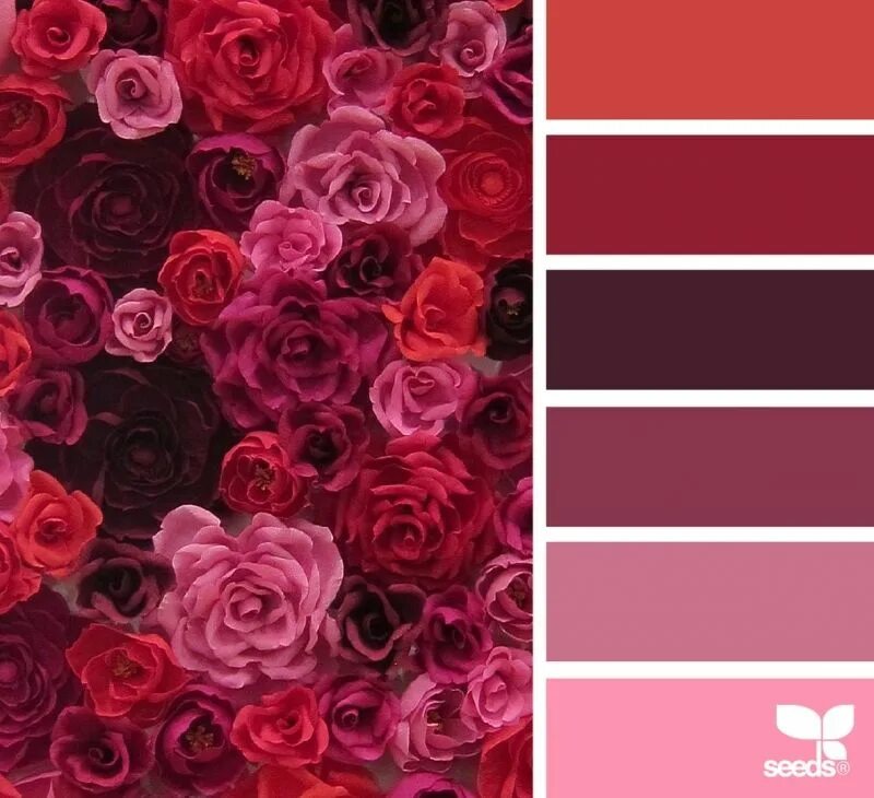Красный цвет палитра фото Красивые осенние сочетания цветов 2 Seeds color, Red colour palette, Design seed
