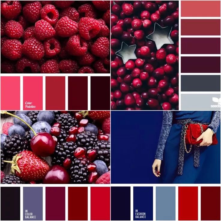 Красный цвет с каким сочетается фото Colors Design seeds, Red color schemes, Red colour palette