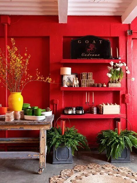 Красный цветок в интерьере Benjamin Moore Color of the Year 2018: Caliente AF-290 Red home decor, Red accen