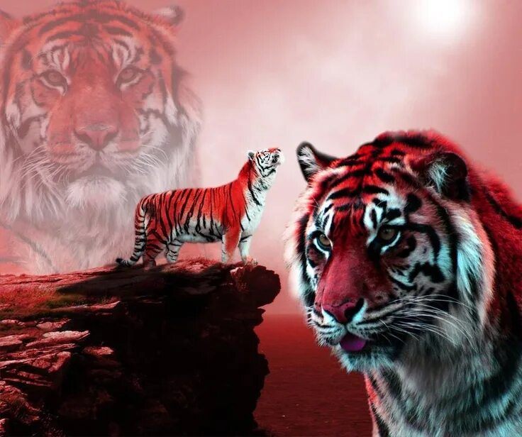 Красный тигр фото Gorgeous! Animal paintings, Diamond painting, Tiger art