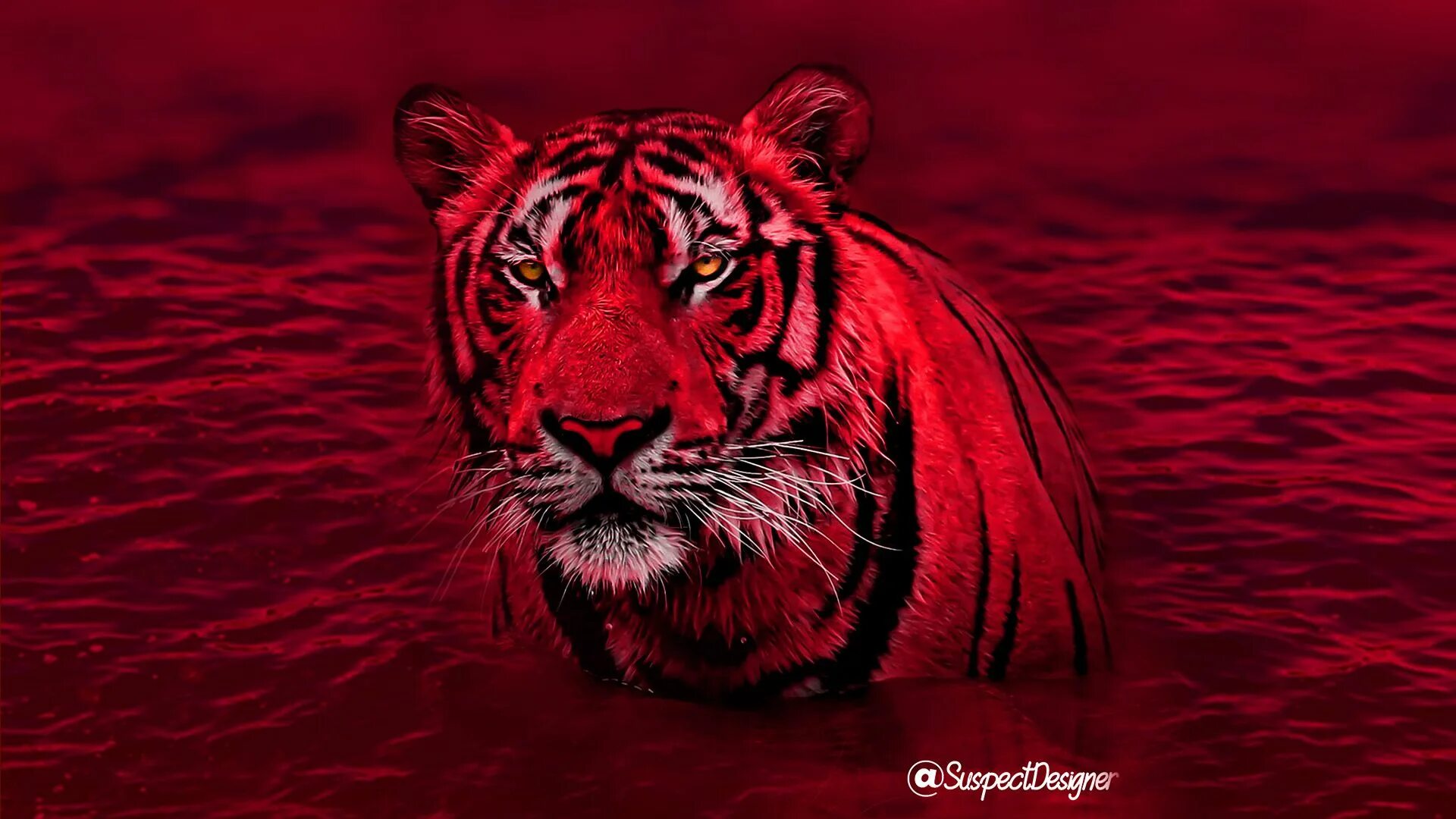 Красный тигр фото Tiger Red and black wallpaper, Dark green aesthetic, Tiger wallpaper
