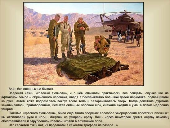 Красный тюльпан афганистан фото #конституции30рфмарченковскаясб #марченковскаясб... Интересный контент в группе 