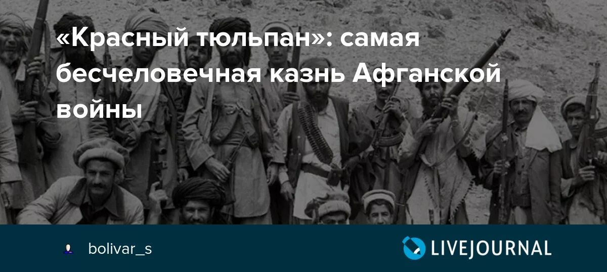 Красный тюльпан афганистан фото Красный тюльпан": самая бесчеловечная казнь Афганской войны - История и этнологи
