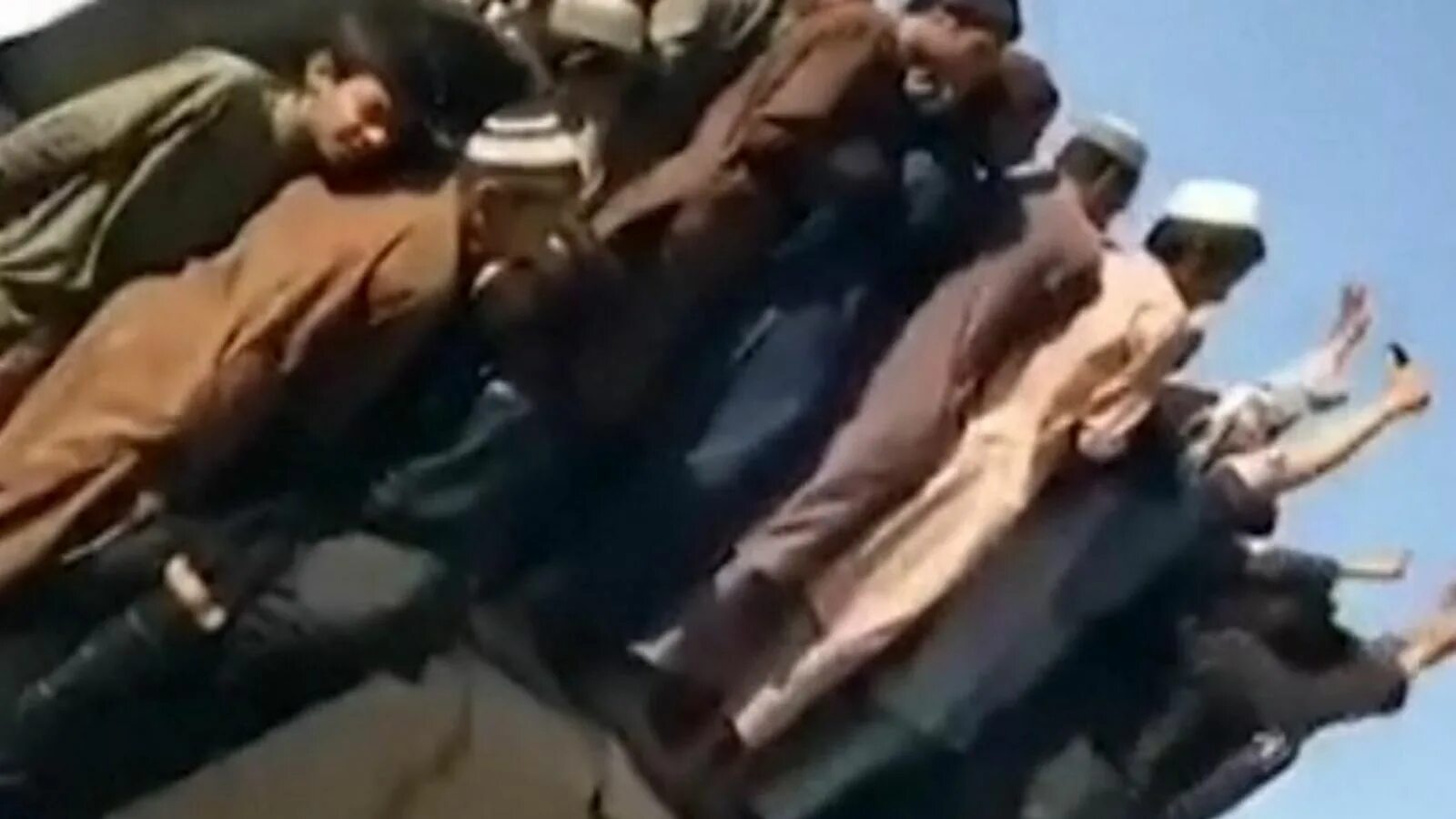 Красный тюльпан афганистан фото Afghanistan: The city of Kandahar falls to the Taliban World News Sky News