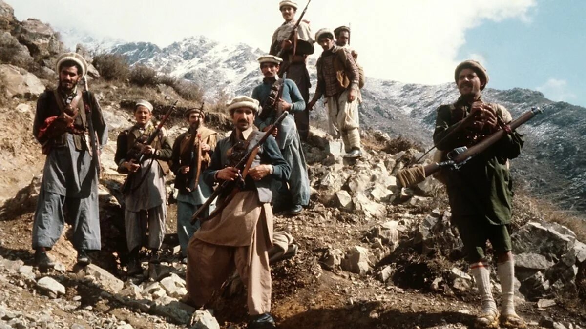 Красный тюльпан афганистан фото BBC World Service - Witness History, Mules and the Mujahideen