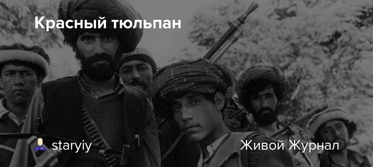 Красный тюльпан афганистан фото на человеке Красный тюльпан: staryiy - ЖЖ