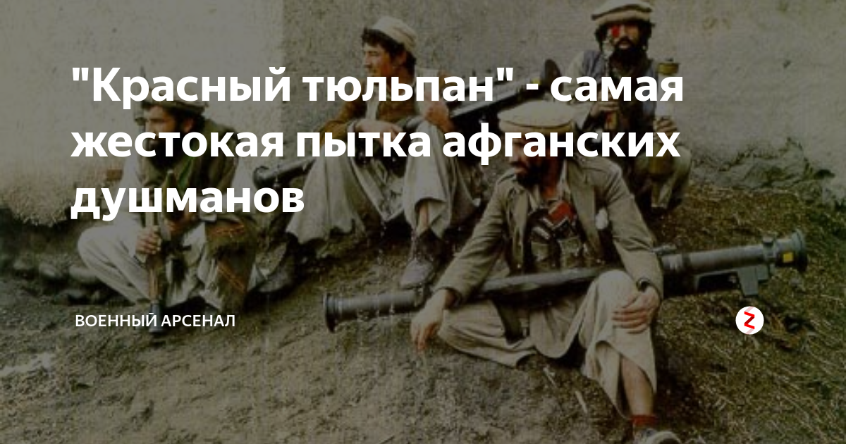 Красный тюльпан афганистан фото на человеке "Красный тюльпан" - самая жестокая пытка афганских душманов BRUTAL RUSSIAN Дзен