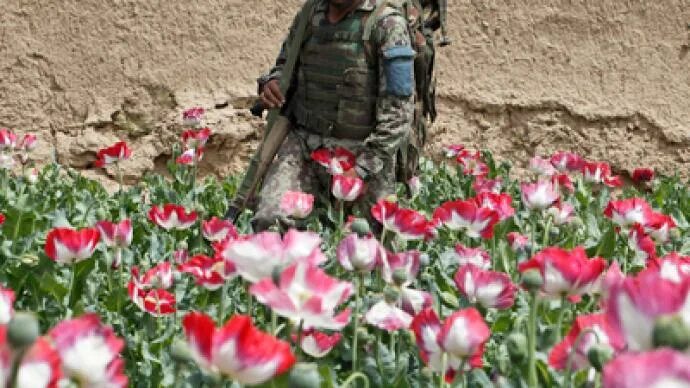 Красный тюльпан фото на человеке Russia, Afghanistan to boost cooperation on drug and terror fronts - RT Russia &