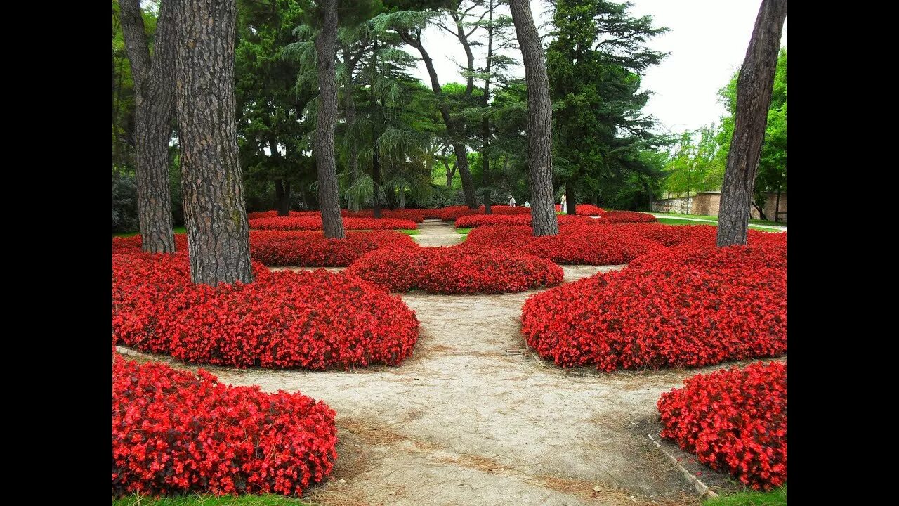 Красный в ландшафтном дизайне Parque del Capricho. Madrid. HD-3D. Arte y Jardinería Diseño de Jardines. - YouT