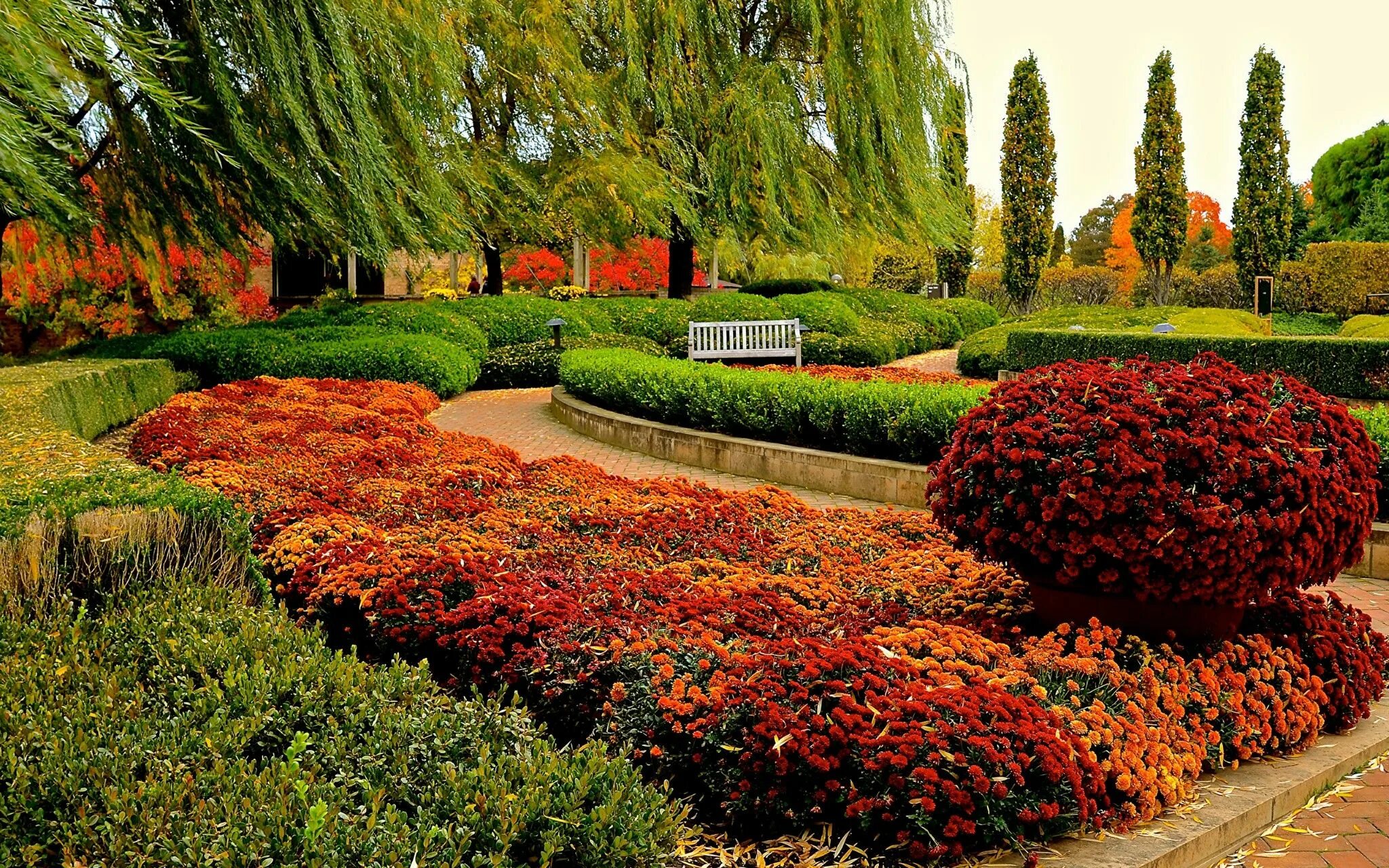 Красный в ландшафтном дизайне Pin by Ирина Николаевна on Растения Chicago botanic garden, Nature, Botanical ga