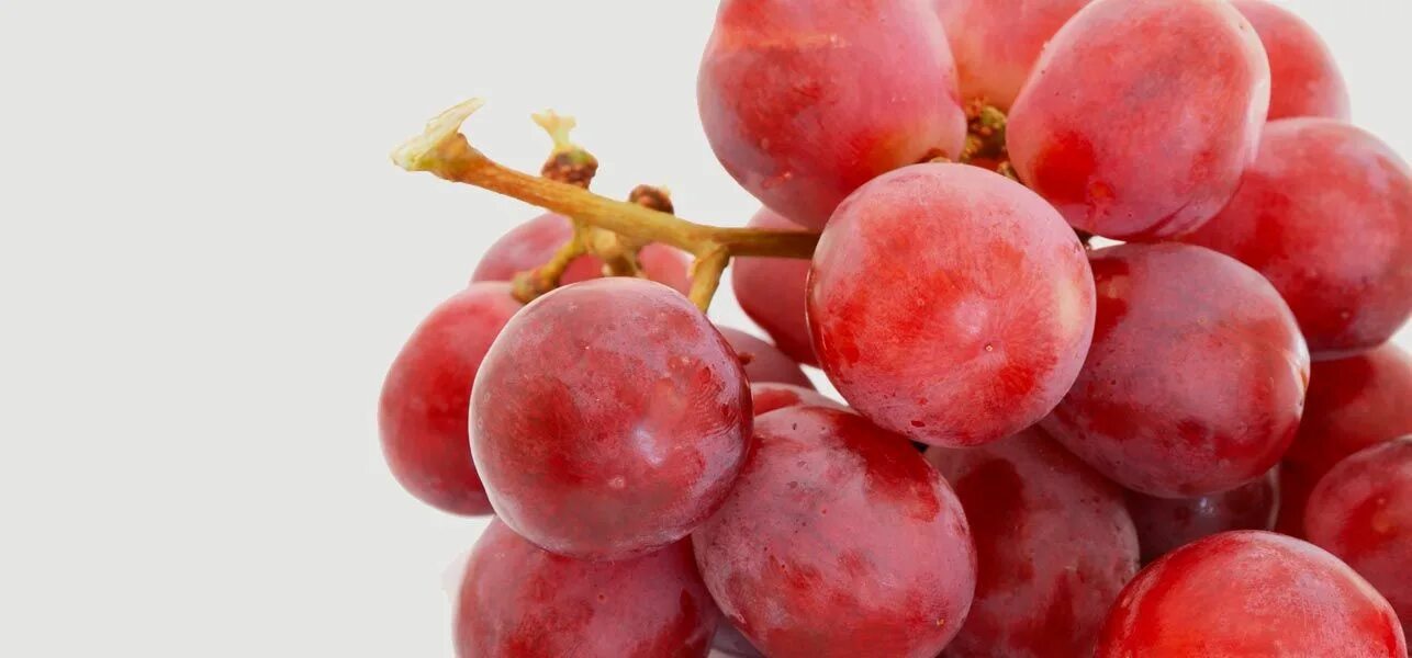 Красный виноград фото 5 Amazing Benefits Of Grapeseed Oil For Skin, Hair & Health Health Grape nutriti