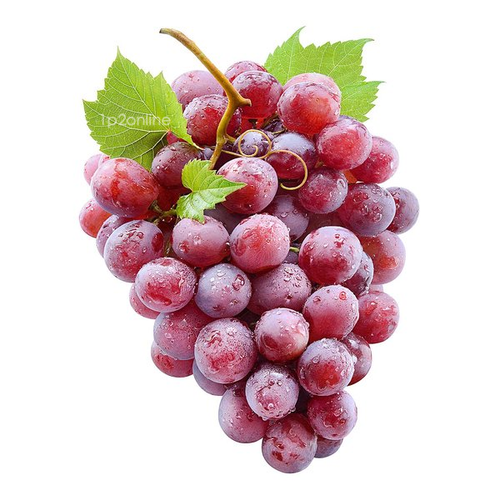Красный виноград фото 100 Red Globe Grape Seeds Large Fruit Seed Tree Vine Big Grapes AUSTRALIA eBay