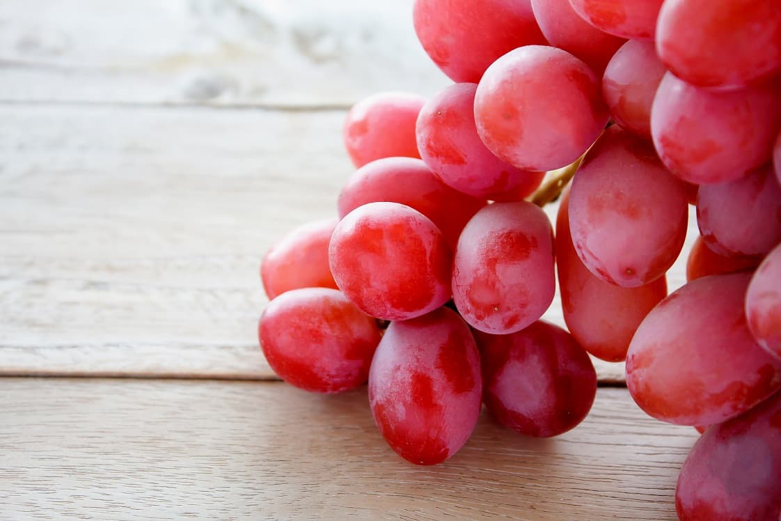Красный виноград фото Fresh Seedless Grapes tradekorea