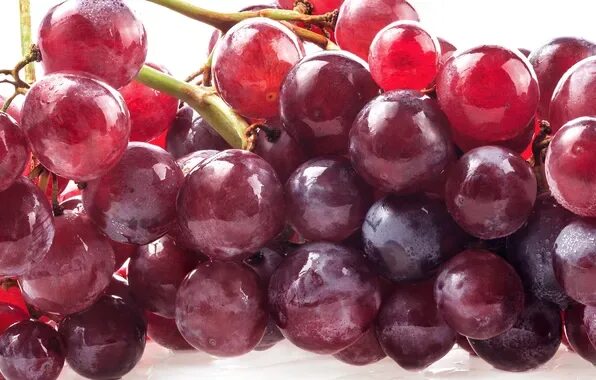 Красный виноград фото Обои красный, ягоды, berry, виноград, гроздь, red, Grapes, raceme на телефон и р