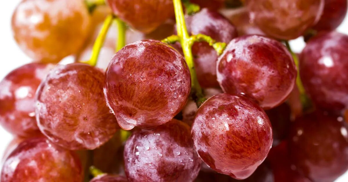 Красный виноград фото Choking on grapes can kill young children, doctors warn - CBS News