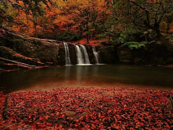 Красный водопад фото Autumn day Autumn scenery, Waterfall, Scenery