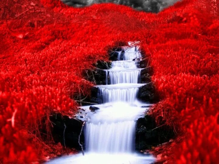Красный водопад фото Pin by Stacy Harris on Amazing Beautiful waterfalls, Waterfall, Scenery