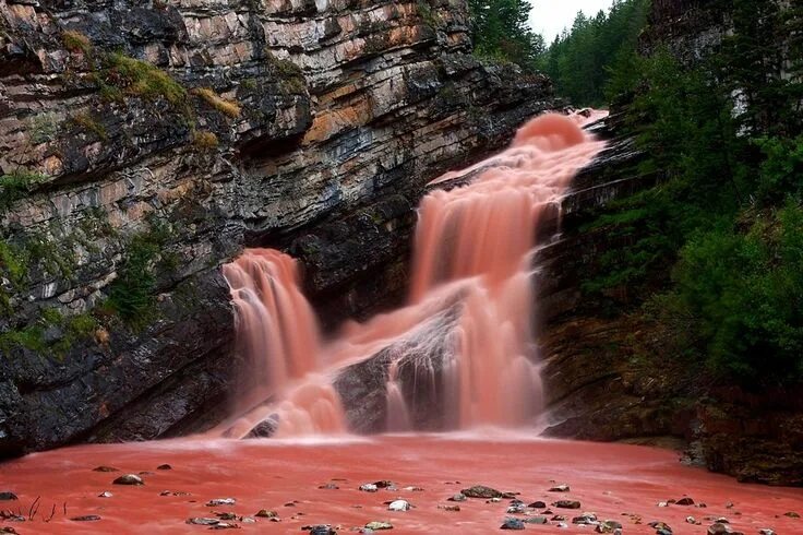 Красный водопад фото 11 Places That Defy All Logic Waterton lakes national park, Places to travel, Wa