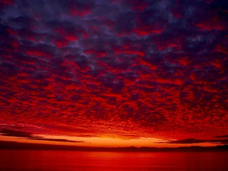 Красный закат фото Crimson Sky, Alaska Red sky, Orange sky, Red wallpaper